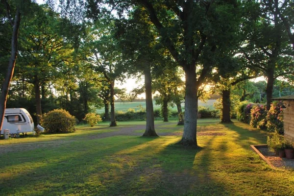 Dapplewood Caravan Site in Wimborne